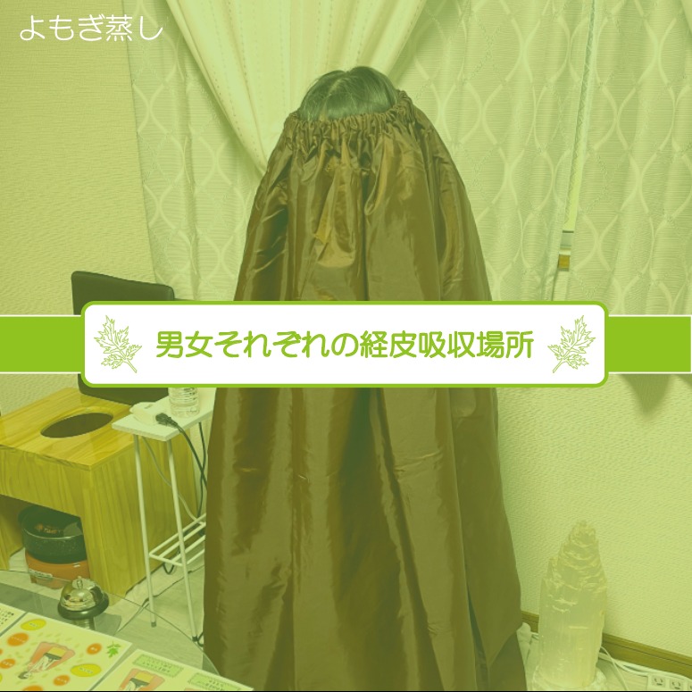 【よもぎ蒸し始めました】