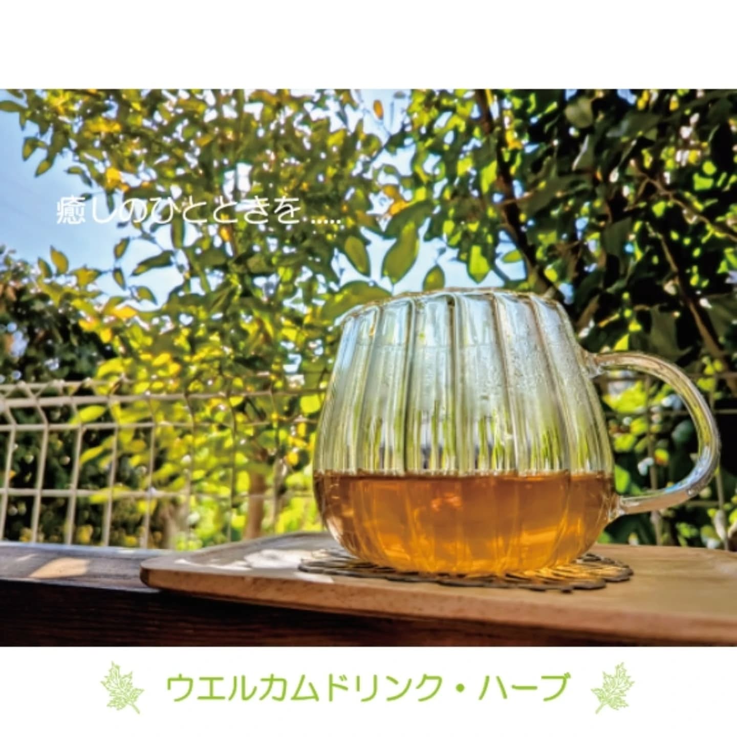 ご覧頂きありがとうございます