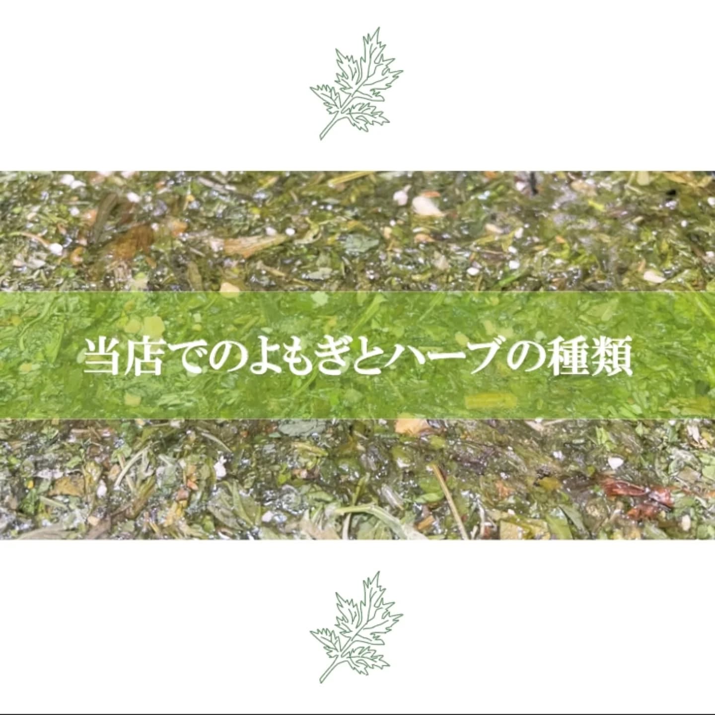 よもぎ蒸しは、伝統的な健康法として多くの方々に愛されています