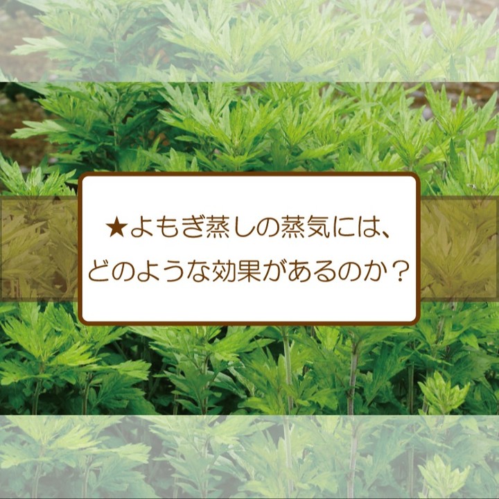 【よもぎ蒸し始めました】